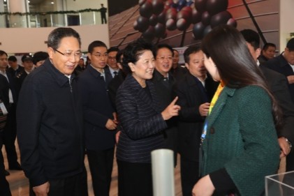 刘延东副总理对公司发展表示了祝贺与期望